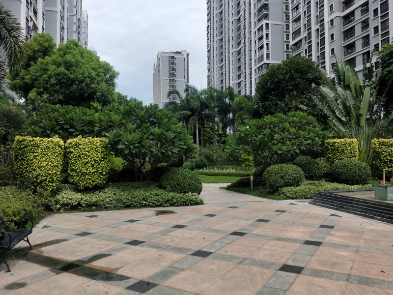 新洲香樟美地,汕樟路128号-汕头新洲香樟美地二手房,租房,房价-汕头