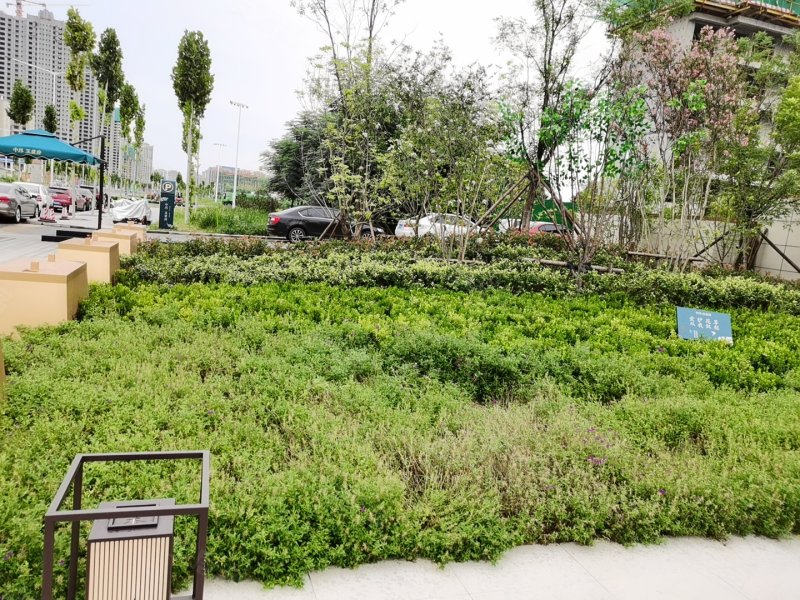 中昂玉棠府,醴泉七路-滨州中昂玉棠府二手房,租房,房价-滨州安居客