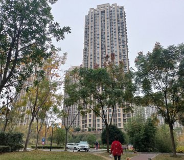 东辰心语