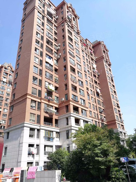 中星海上名豪苑御菁园 