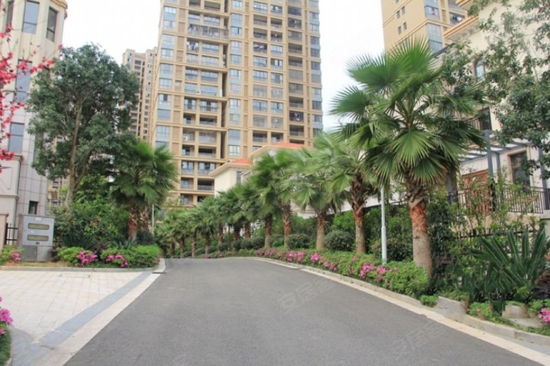 圣地亚哥,金岭西路75号-赣州圣地亚哥二手房,租房,房价-赣州安居客