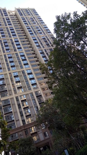 鼎峰尚境,横塘路-东莞鼎峰尚境二手房,租房,房价-东莞安居客