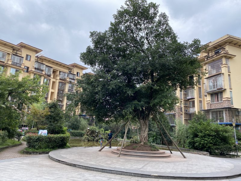 天远红树湾,黄桷路6号-泸州天远红树湾二手房,租房,房价-泸州安居客