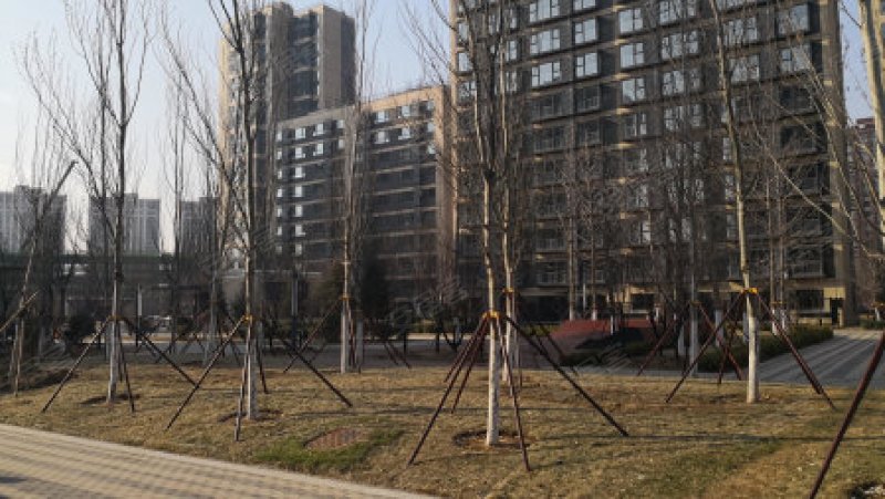 北京大学肖家河教职工家属院一区