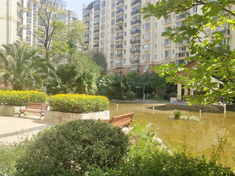 远洋风景,红域路38号