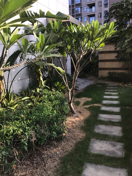 伟润帝景,温陵北路356号-泉州伟润帝景二手房,租房,房价-泉州安居客