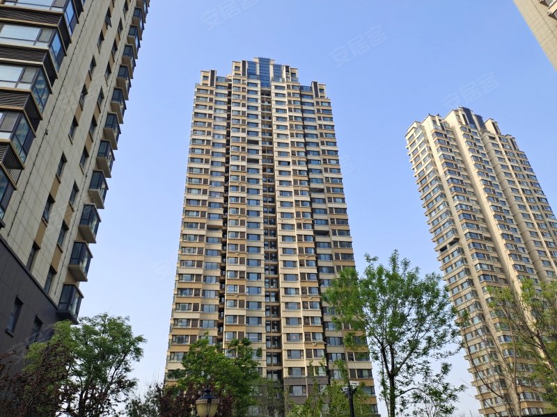 中海壹号(公寓住宅),黄河十二路-滨州中海壹号(公寓住宅)二手房,租房