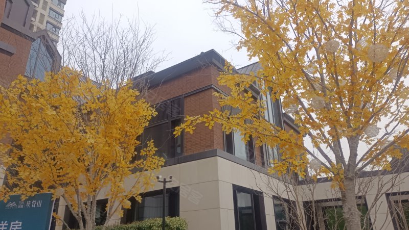 云溪苑(别墅),周宁路,近202省道-威海云溪苑(别墅)二手房,租房,房价