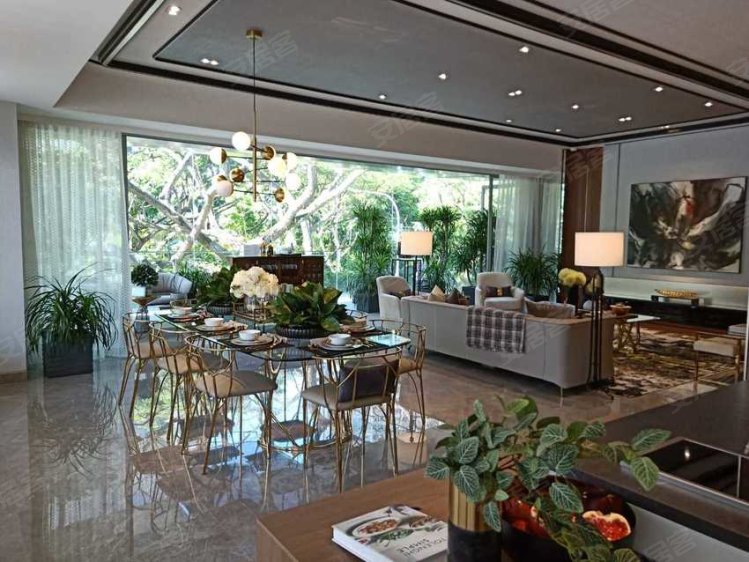 新加坡约¥2160～5280万新加坡私宅 - 乌节路铂瑞雅居新房公寓图片