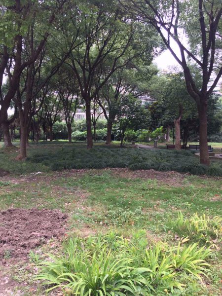 绿洲北水湾名邸 