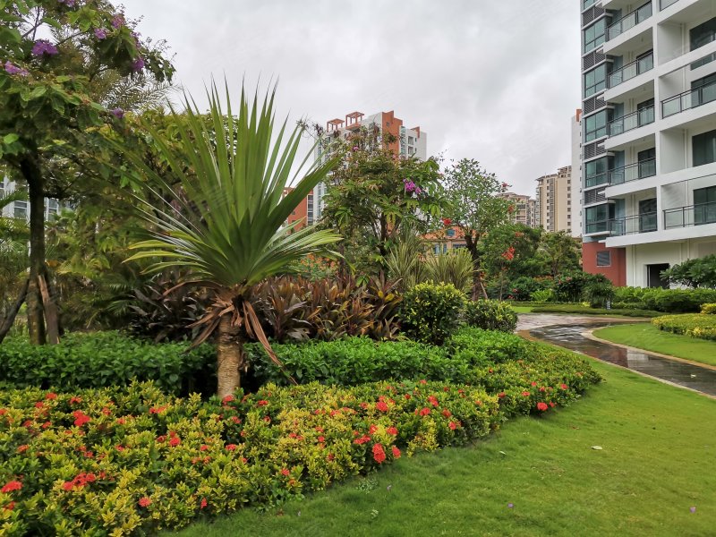 中和龙沐湾海润源