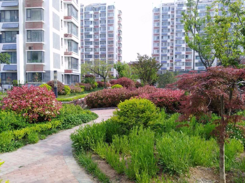 翰林华府(莒南)