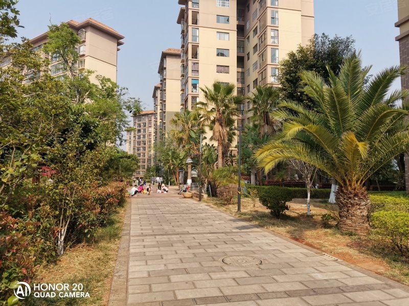 半山国际,团结路-楚雄半山国际二手房,租房,房价-楚雄安居客