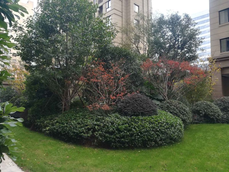 中梁香缇华府(龙湾)