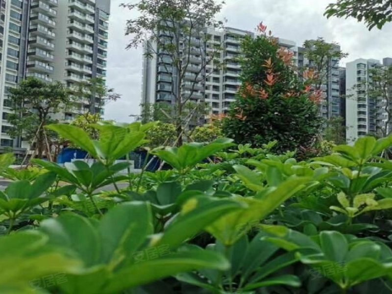 爱琴半岛,沥金路26号-中山爱琴半岛二手房,租房,房价-中山安居客