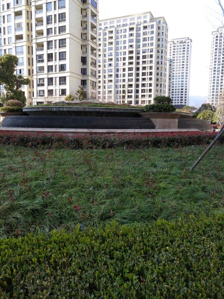 伟星城林景园,七一河路-台州伟星城林景园二手房,租房,房价-台州安居