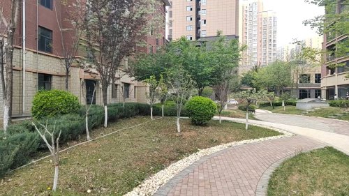 学府平墅(育才街),育才街,近凤城路 - 晋城学府平墅(育才街)二手房