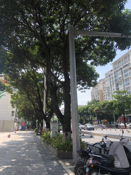 中天大厦,胜利东路51-1号-漳州中天大厦二手房,租房,房价-漳州安居客