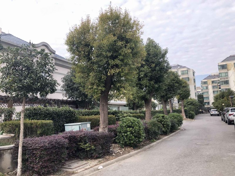 金域水岸苑(别墅)