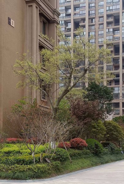 巴黎都市(海盐)