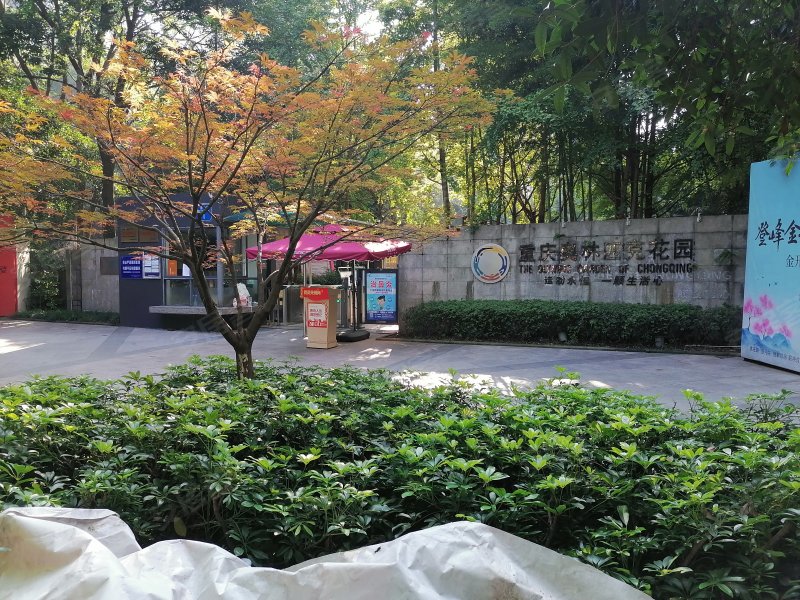 奥林匹克花园新亚洲,金童路81号-重庆奥林匹克花园新亚洲二手房,租房