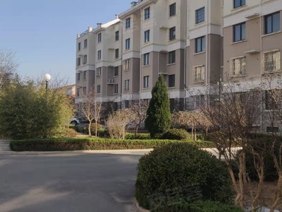 洼里新村,政府街10号 - 青岛洼里新村二手房,租房,房价-青岛安居客