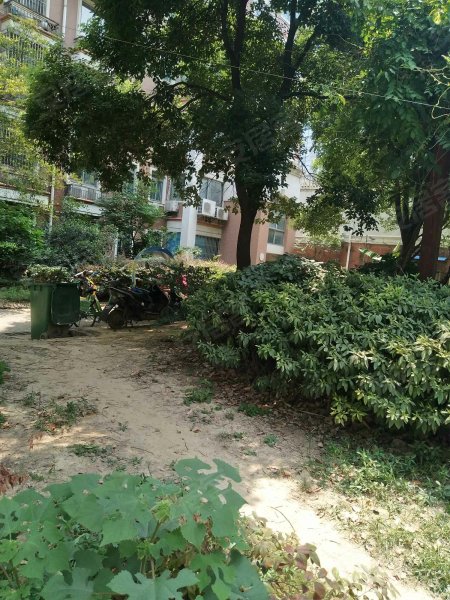 银河湾花园,濉溪路266号-合肥银河湾花园二手房,租房,房价-合肥安居客