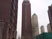 万科柏翠园(河西) 小区新 商圈成熟 医疗配套成熟 装修好