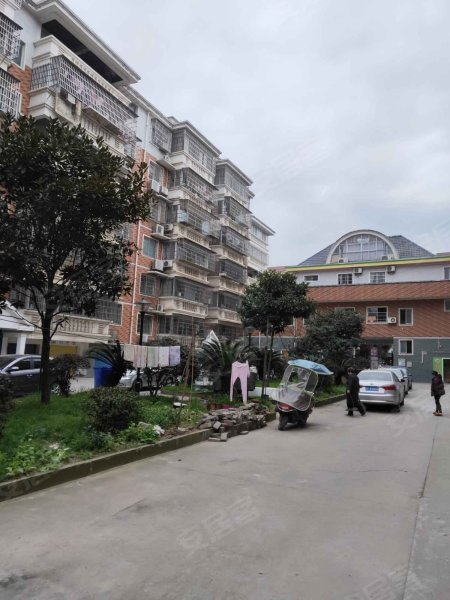 金阳花园(白石岭北路)