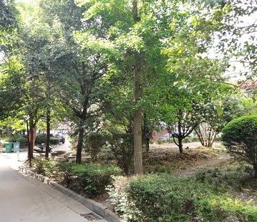 太平南路222号小区