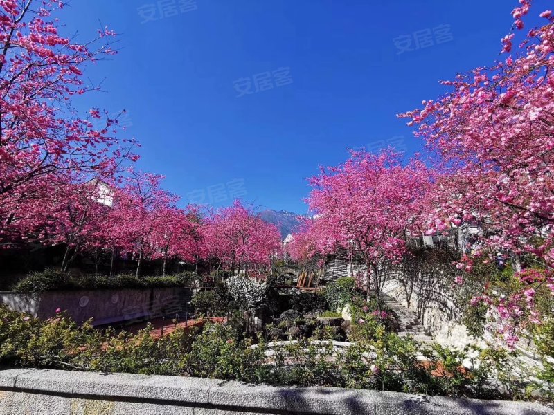 大理山水间