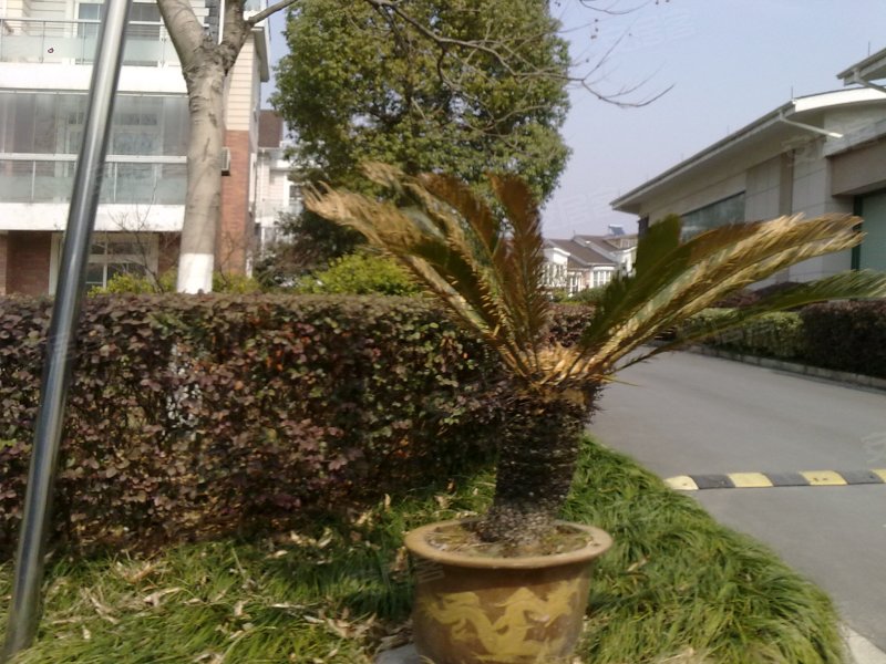 新西湖花园(公寓住宅)