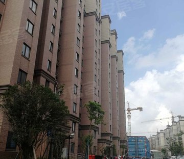 塘和家园栀子锦苑