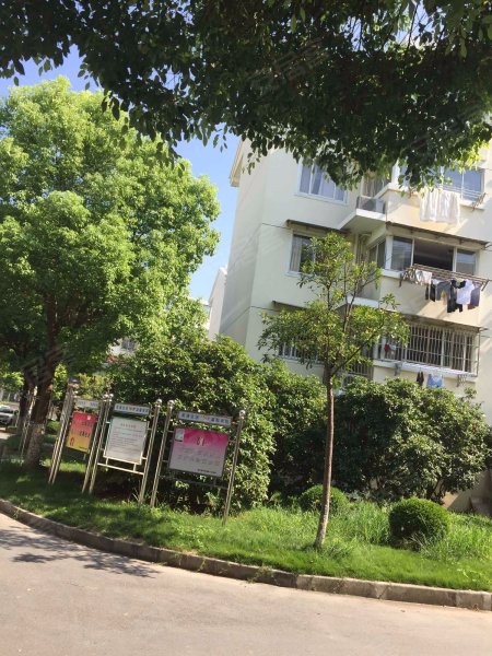 桃园新城中虹佳园(东区) 