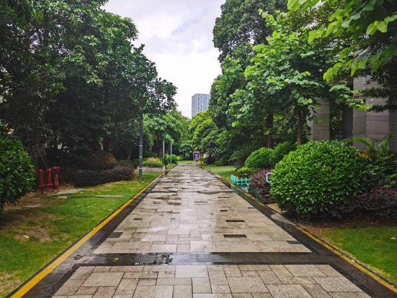 世欧上江城bc区,南江滨西大道-福州世欧上江城bc区二手房,租房,房价