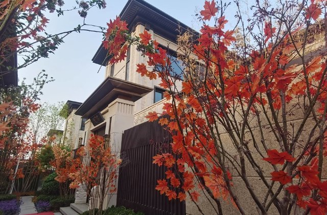 中建国望府别墅