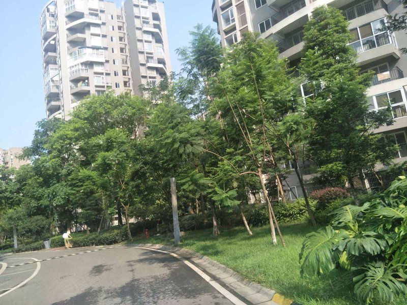 文星花园,川大路三段266号-成都文星花园二手房,租房,房价-成都安居客