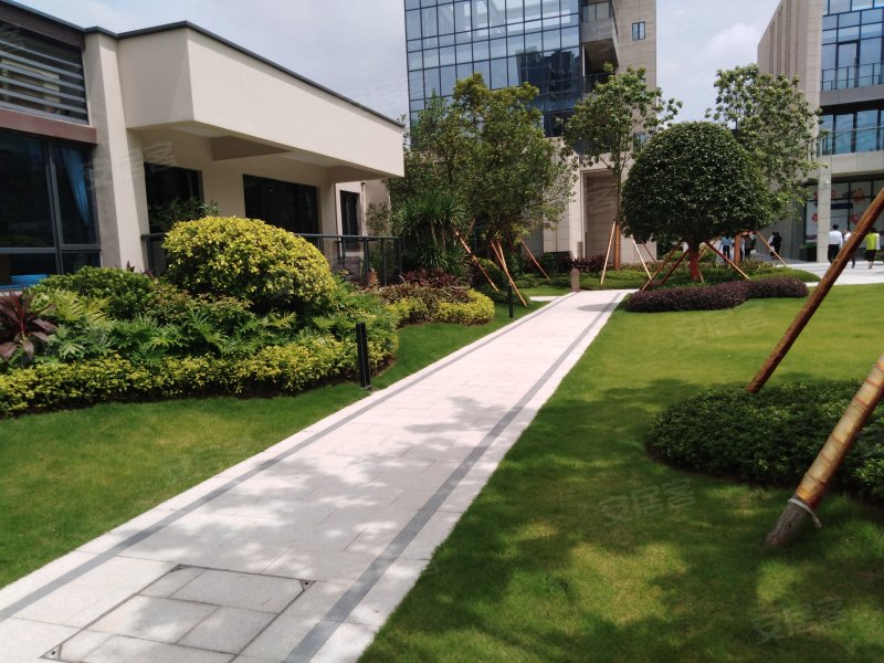 新力君悦湾,和畅东二路-惠州新力君悦湾二手房,租房,房价-惠州安居客