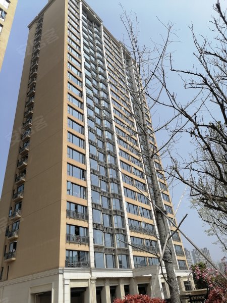 湖畔天下(商住楼) 