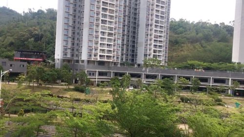 坝光新村(西区),丰树山路2号 - 深圳坝光新村(西区)二手房,租房,房价