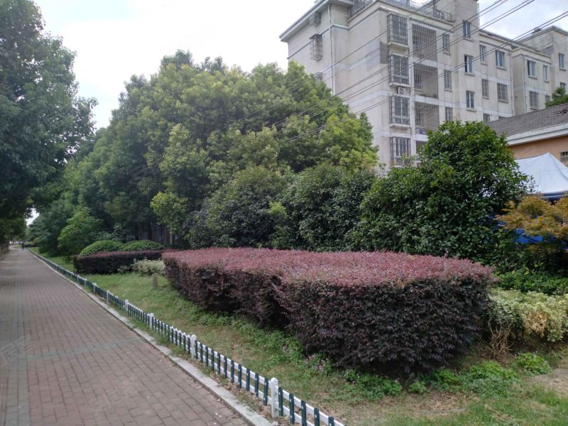 骑河家园,骑河路,近澄阳路-苏州骑河家园二手房,租房,房价-苏州安居客