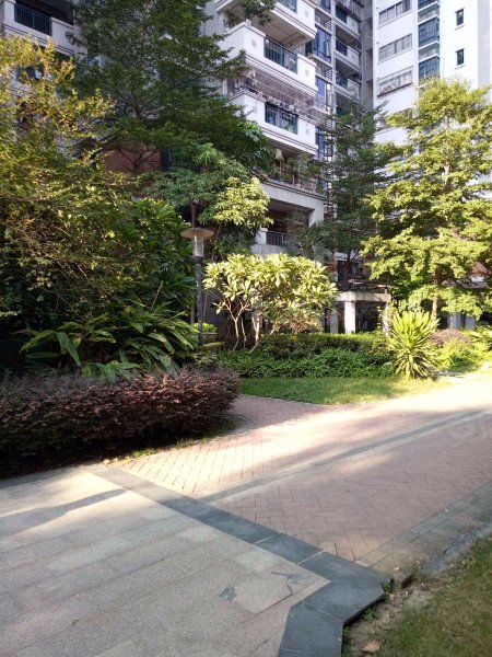 锦隆花园(二期),锦华路90号-佛山锦隆花园(二期)二手房,租房,房价