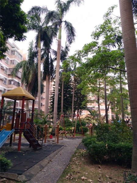 华达花园,港三路308号-珠海华达花园二手房,租房,房价-珠海安居客