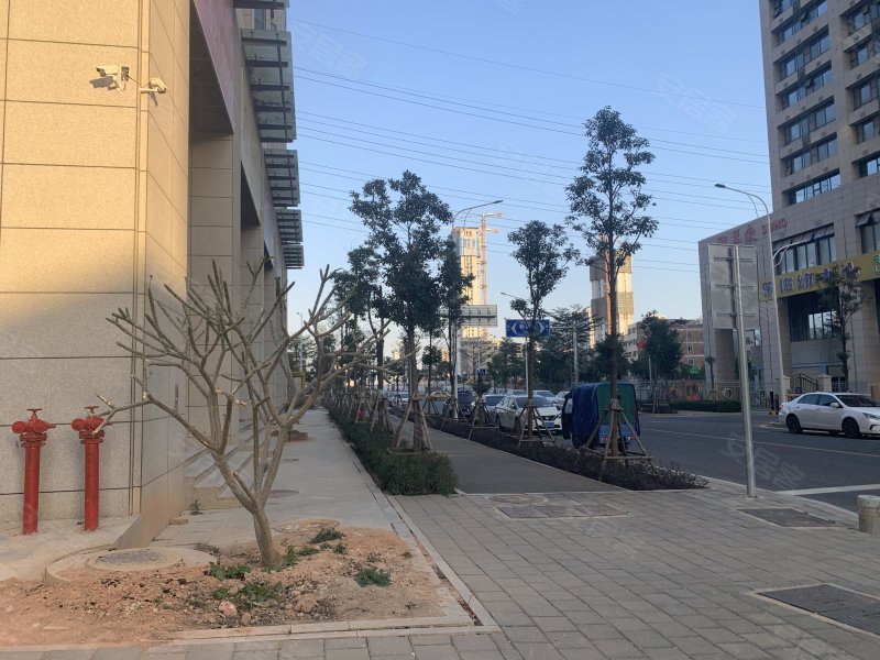 新景国际城菁英公馆