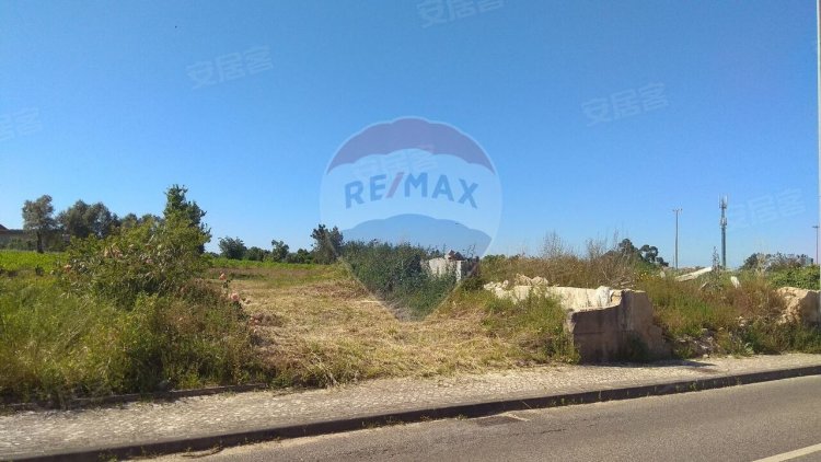 葡萄牙约¥31万菲盖拉达福兹佩尼奥待售土地二手房土地图片