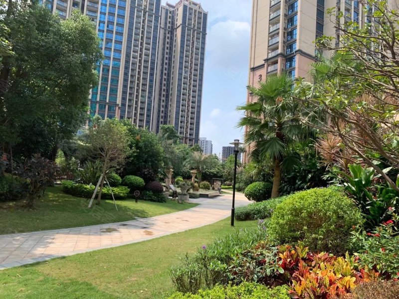 碧桂园深荟城,白云一路-深圳碧桂园深荟城二手房,租房,房价-深圳安居