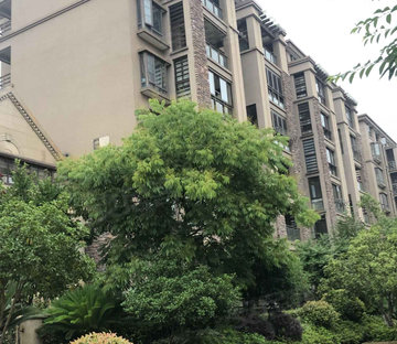 罗马都市(北区)