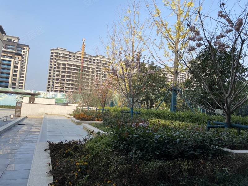 建业春天里(柘城),学府大道-商丘建业春天里(柘城)二手房,租房,房价