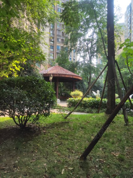 树高金沙首座a区小区