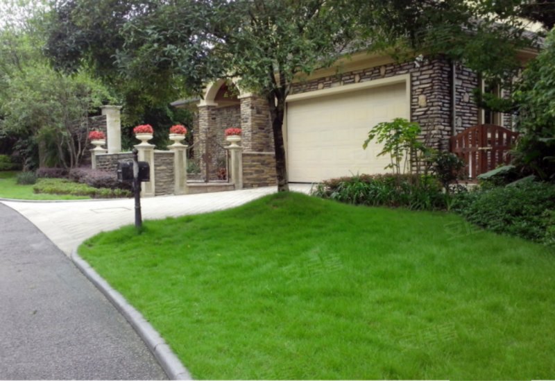 常青藤,果塘路197号-重庆常青藤二手房,租房,房价-重庆安居客